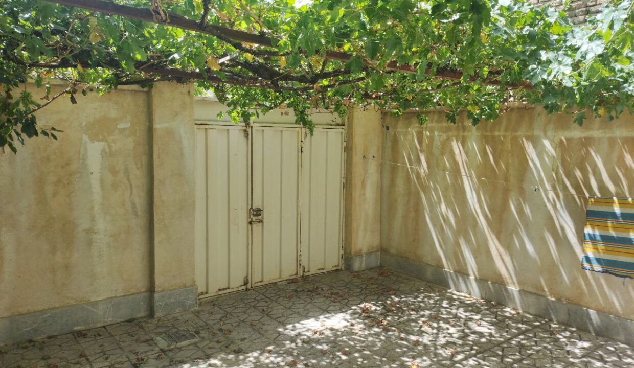 IMG_20240724_111455_108