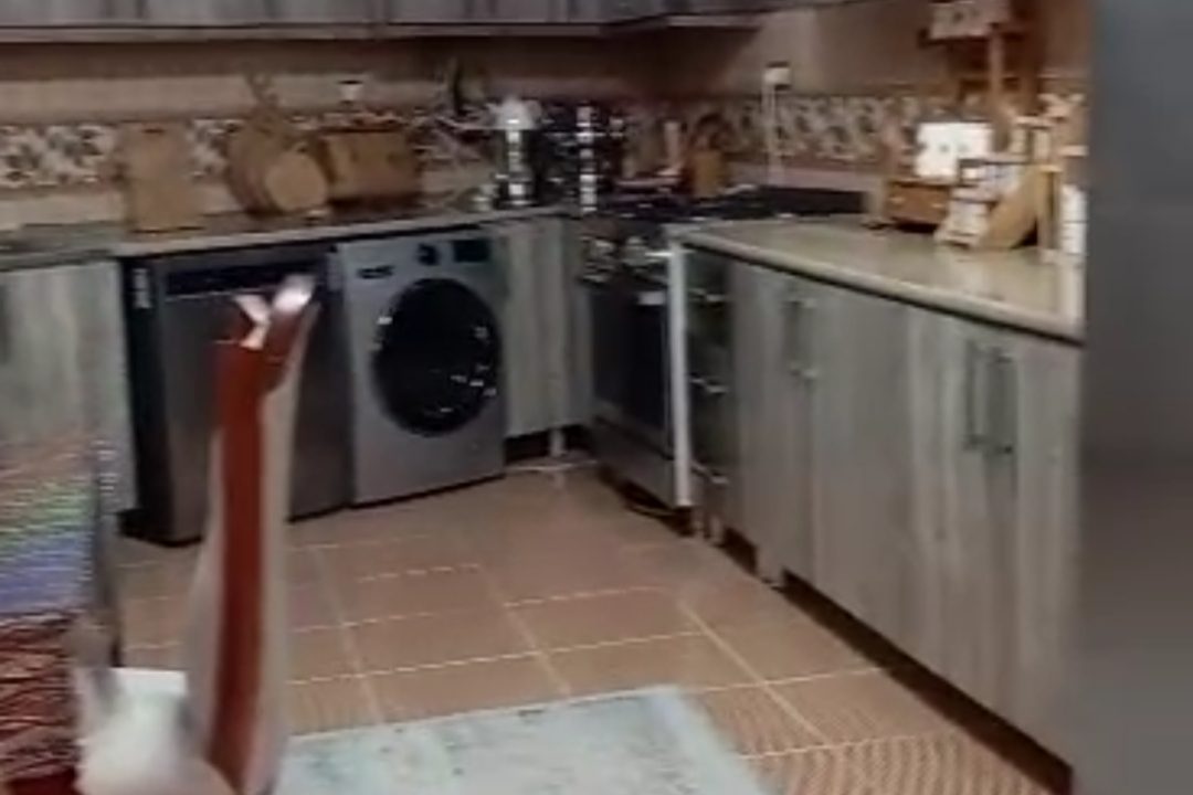 Screenshot_۲۰۲۵-۱۲-۱۱-۱۶-۵۳-۳۴-۶۷۴_com.miui.gallery